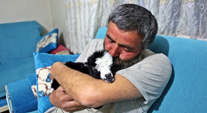Annesinin reddettiği oğlak 'Dina'ya torunları gibi bakıyorlar