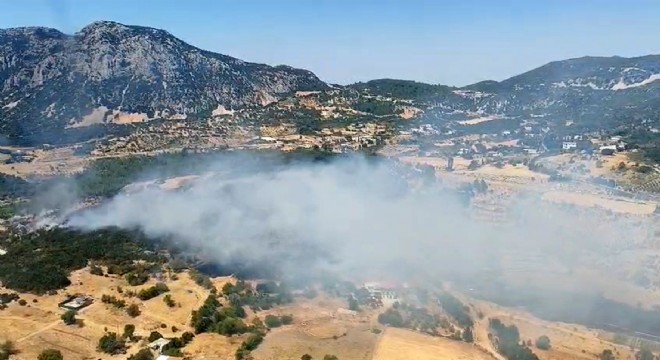 Antalya Kaş'ta orman yangını