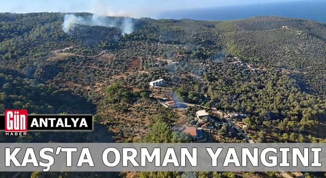Antalya Kaş'ta orman yangını