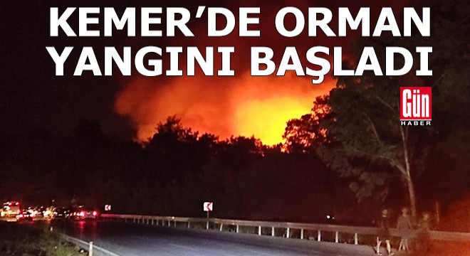 Antalya Kemer'de orman yangını