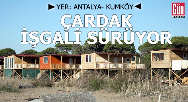 Antalya Kumköy'de çardak işgali sürüyor