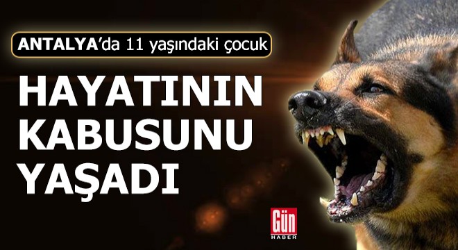 Antalya'da 11 yaşındaki çocuk hayatının kabusunu yaşadı