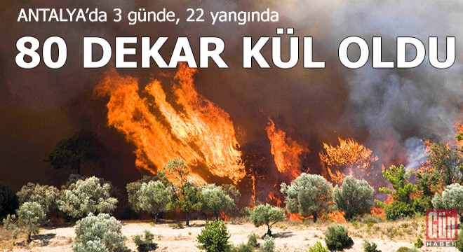 Antalya'da 3 günde, 22 yangında 80 dekar kül oldu