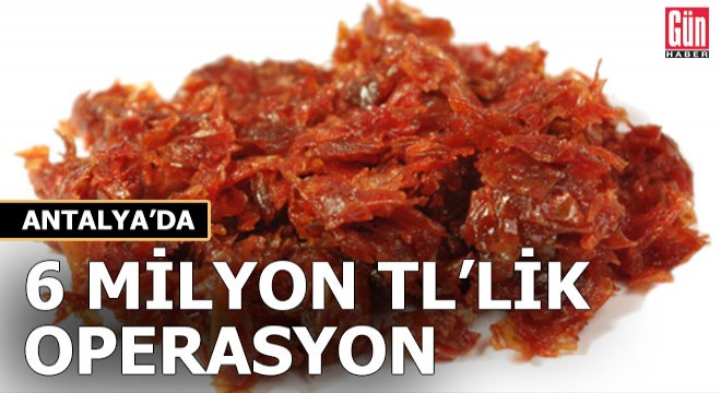 Antalya'da 6 milyon TL'lik operasyon