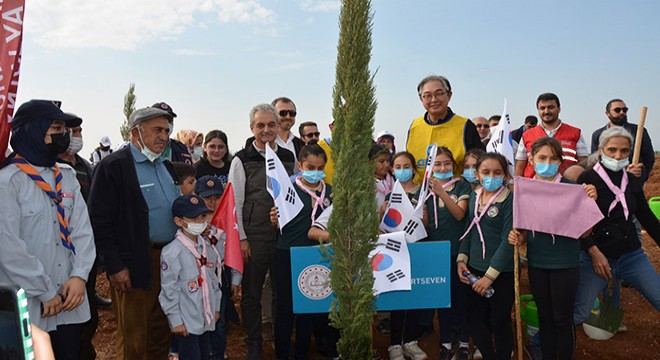 Antalya'da 'Türkiye- Kore Dostluk Ormanı' için ilk fidanlar toprakla buluşturuldu