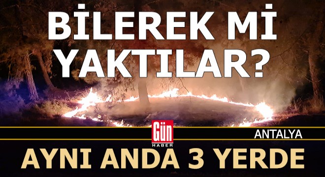 Antalya'da aynı ilçede aynı anda 3 orman yangını
