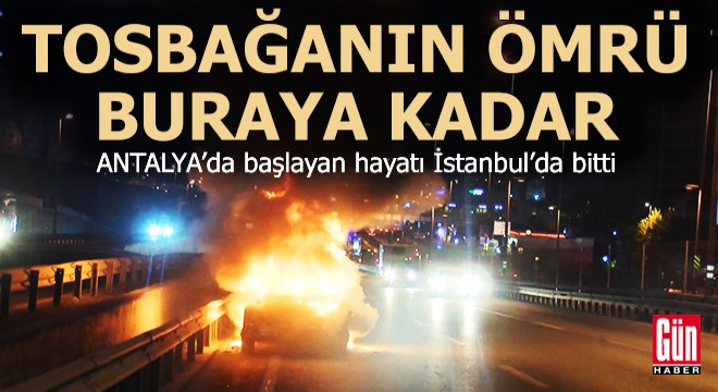 Antalya'da başlayan hayatı İstanbul'da yanarak son buldu
