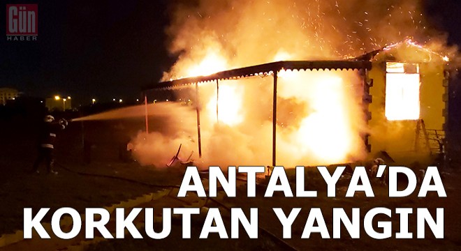 Antalya'da boş arsadaki konteyner alev topuna döndü