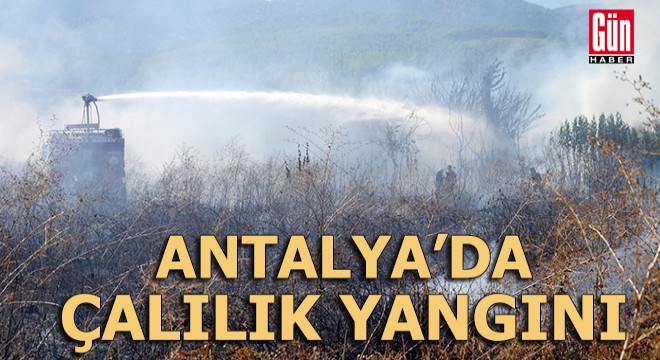 Antalya'da çalılık yangını