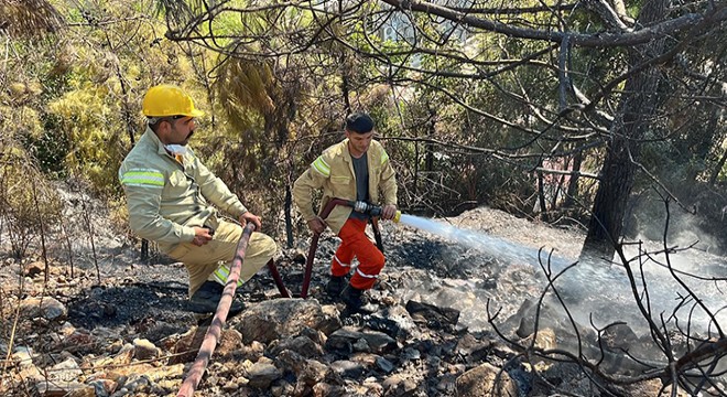Antalya'da çalılık yangını söndürüldü