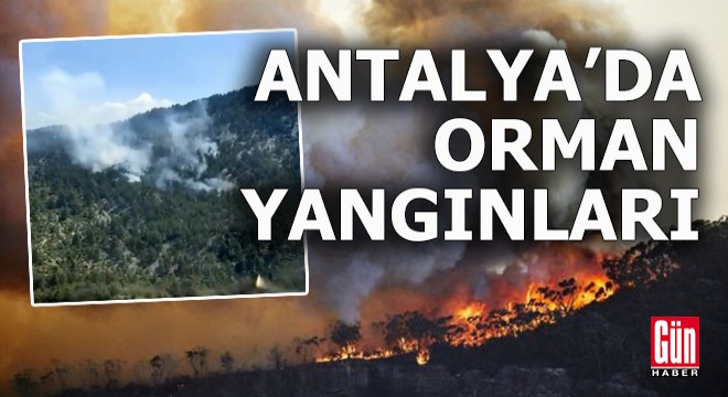 Antalya'da iki noktada orman yangını