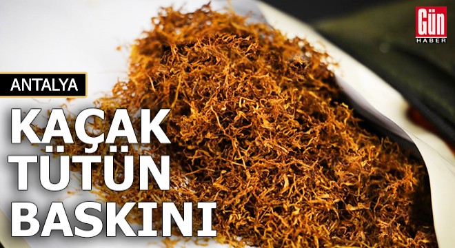 Antalya'da kaçak tütün baskını
