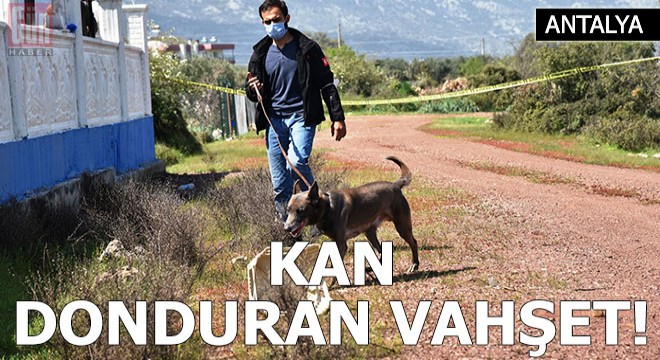 Antalya'da kan donduran vahşet!