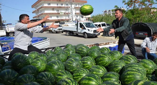 Antalya'da karpuz hasadı başladı