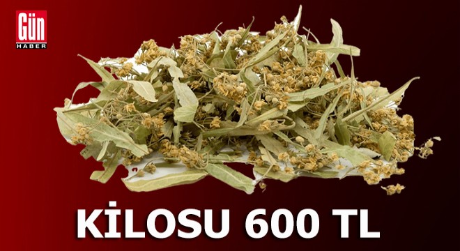 Antalya'da kilo fiyatı, gram altınla yarışıyor