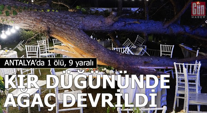 Antalya'da kır düğününde 'ağaç' devrildi: 1 ölü,9 yaralı