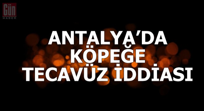 Antalya'da köpeğe tecavüz iddiası