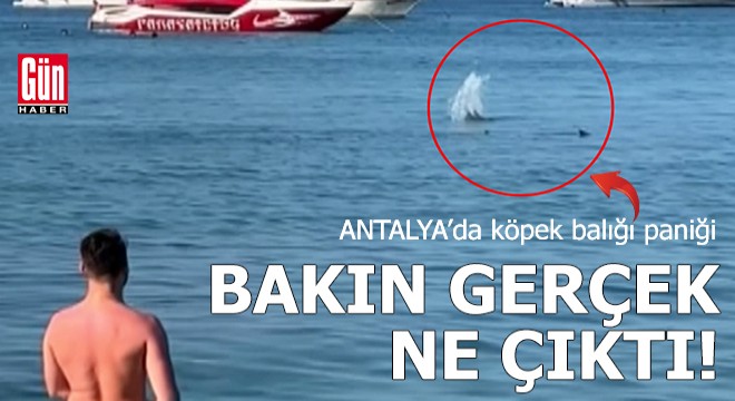 Antalya'da köpek balığı paniği! Bakın gerçek ne çıktı...