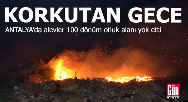 Antalya'da korkutan gece: Otluk yangınında 100 dönüm zarar gördü