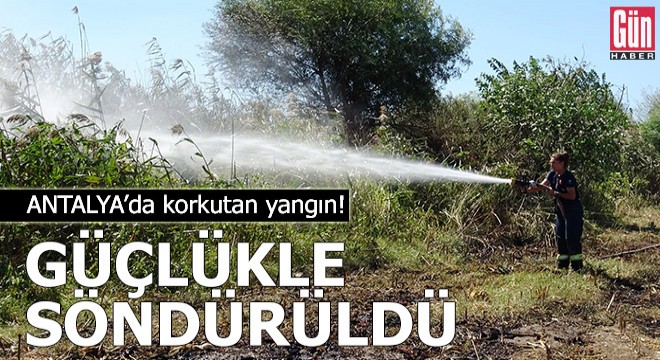 Antalya'da korkutan yangın! Güçlükle kontrol altına alındı