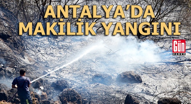 Antalya'da makilik yangını