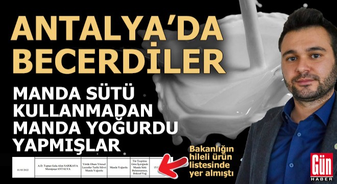 Antalya'da manda sütü kullanmadan manda yoğurdu yapmışlar