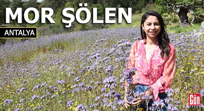 Antalya'da mor şölen