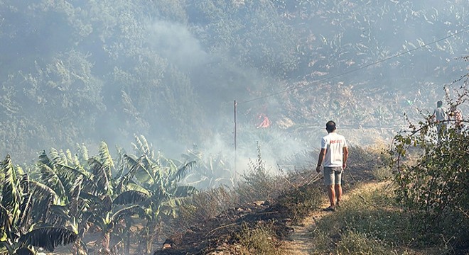 Antalya'da muz ve avokado bahçeleri yangında zarar gördü