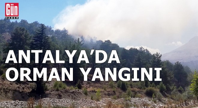 Antalya'da orman yangını
