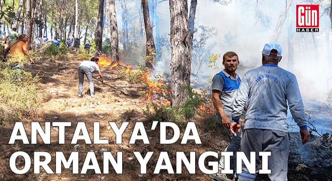 Antalya'da orman yangını