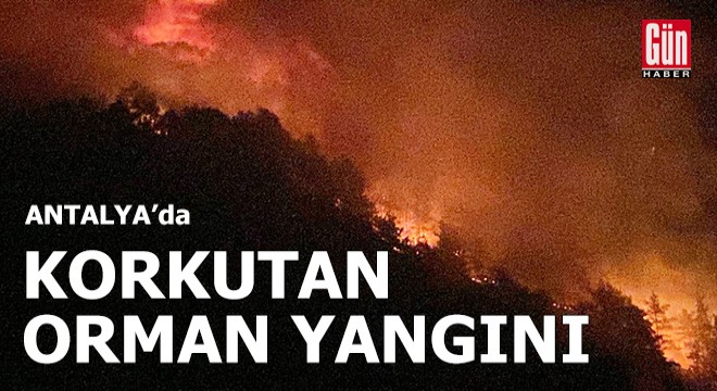 Antalya'da orman yangını