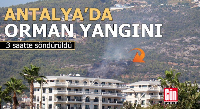 Antalya'da orman yangını; 3 saatte söndürüldü