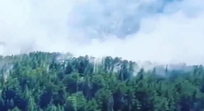 Antalya'da orman yangını