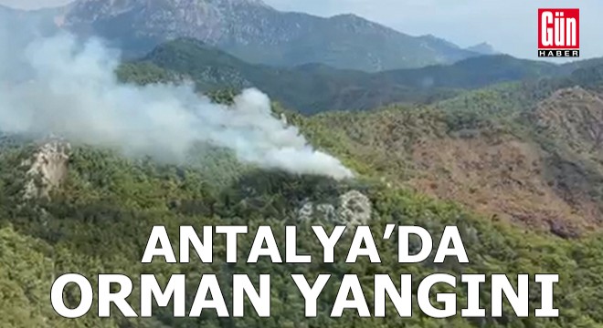 Antalya'da orman yangını