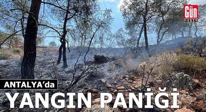 Antalya'da orman yangını paniği