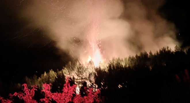 Antalya'da orman yangını söndürüldü