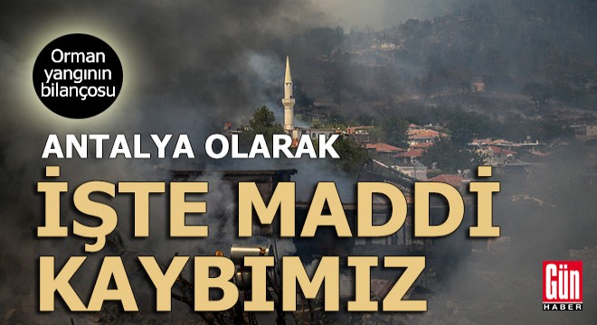 Antalya'da orman yangının yarattığı ekonomik kayıp belli oldu