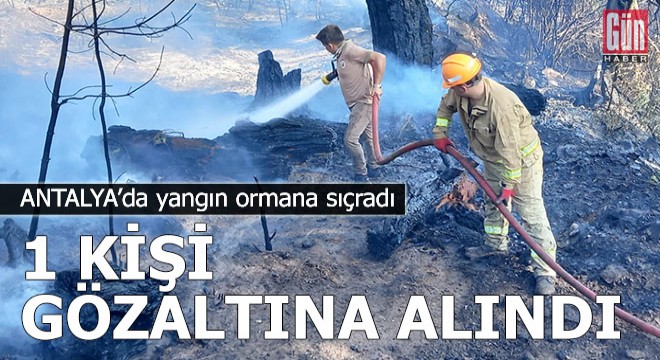 Antalya'da ormana sıçrayan yangın büyük panik yarattı