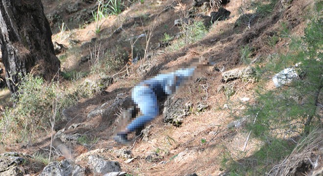 Antalya'da ormanda erkek cesedi bulundu