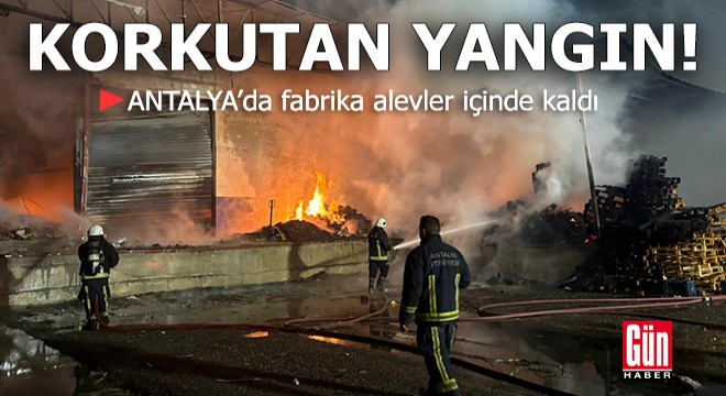 Antalya'da paketleme fabrikasında korkutan yangın