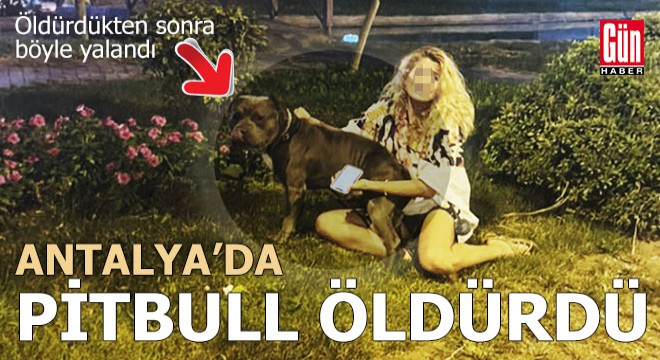 Antalya'da pitbull saldırısı ölümle bitti