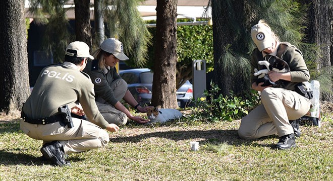 Antalya'da polis sokak hayvanlarını besledi