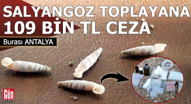 Antalya'da salyangoz toplayana 109 bin TL ceza