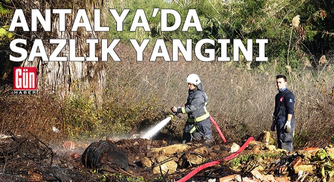 Antalya'da sazlık alanda yangın