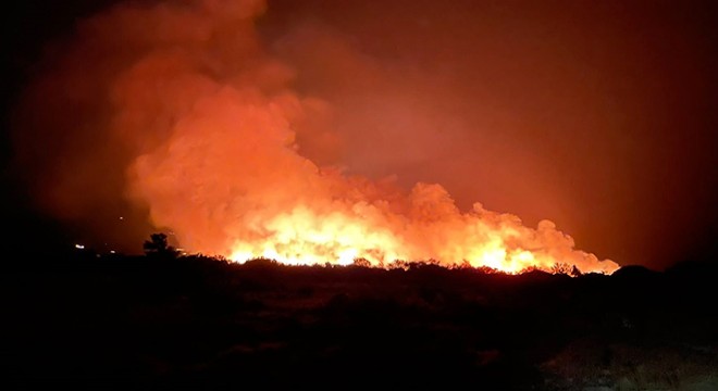 Antalya'da sazlık ve ağaçlıkta çıkan yangın, 3 saatte söndürüldü