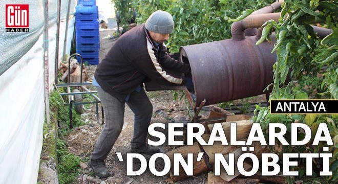Antalya'da seralarda 'don' nöbeti