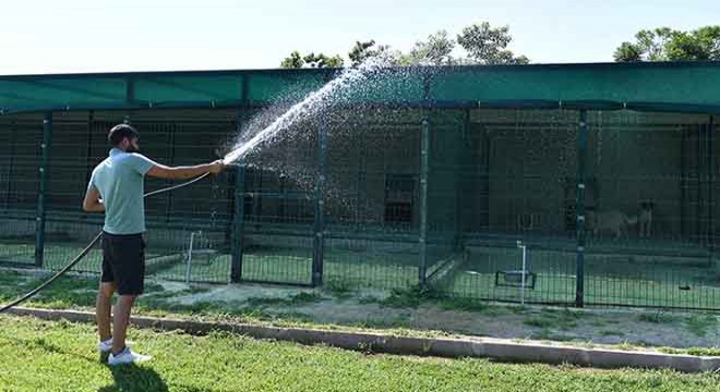 Antalya'da sulu serinlik
