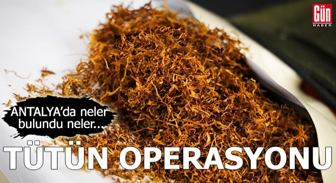 Antalya'da tütün operasyonu! Neler bulundu neler...