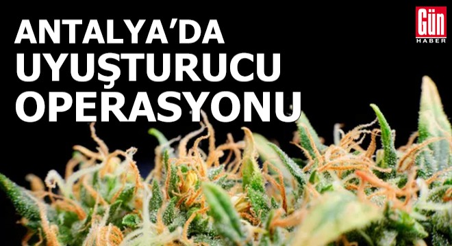 Antalya'da uyuşturucu operasyonu