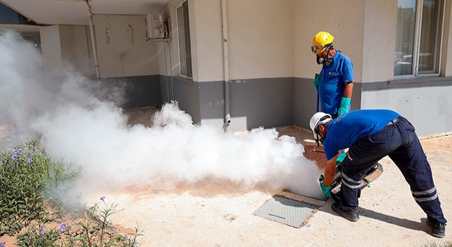 Antalya'da vektörle mücadele hız kesmiyor